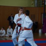 Krajské kolo Moravskoslezského kraje v tradičním karate- Albrechtice 2023