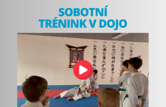 AKA NÁHLEDOVKA (10)
