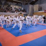 Mistrovství České republiky v tradičním karate,  in memoriam Pavol Kikloš
